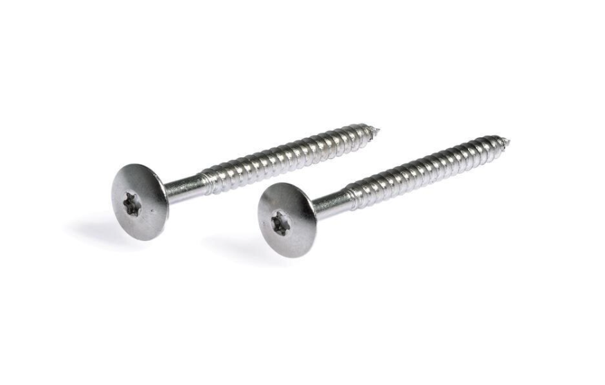 Claytec - Leemplaat Schroef 100stk.